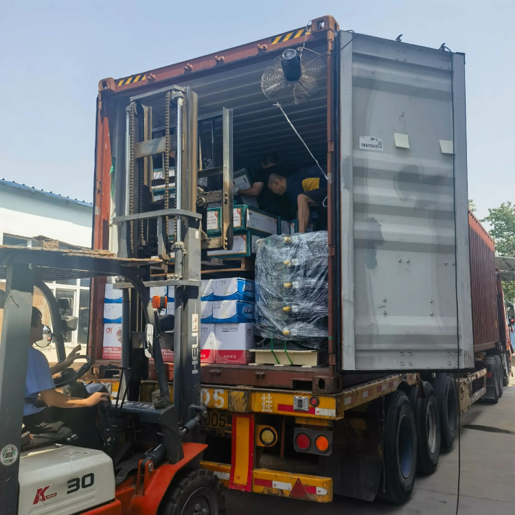 Faritra kamiao mahery vaika - mitondra fiara mora, atokisana na aiza na aiza!